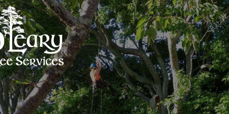 O'Leary Tree Services