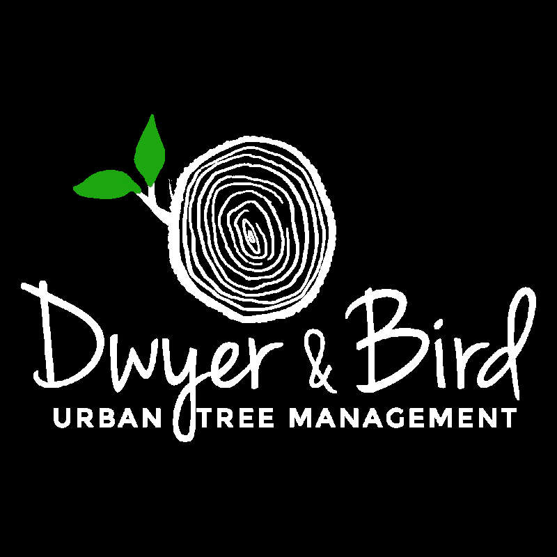 Dwyer & Bird